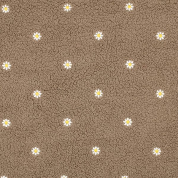 Teddy sandflowers